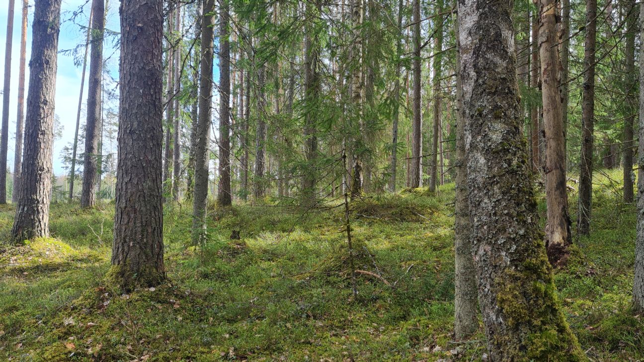 Valdībā iesniegts dokuments, kas paredz daļēju 