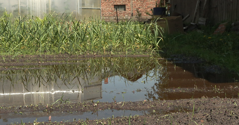 Teju 100 tūksto&scaron;i eiro &ndash; lietavu postījumu cena Līvānu novadā 