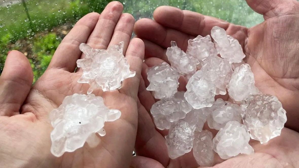 Lielgraudu krusa pārsteidz Jēkabpils novada iedzīvotājus