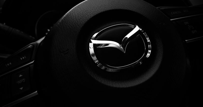 Piedzēries &scaron;oferis Kūku pagastā ietriecas kokā