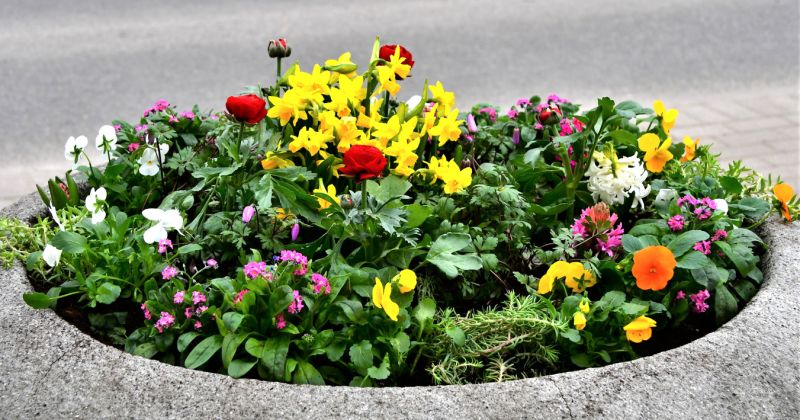 Jūlija vidus bija siltāks un mitrāks par normu