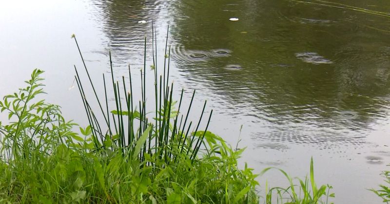Izsludināts brīdinājums par augstu ūdenslīmeni 