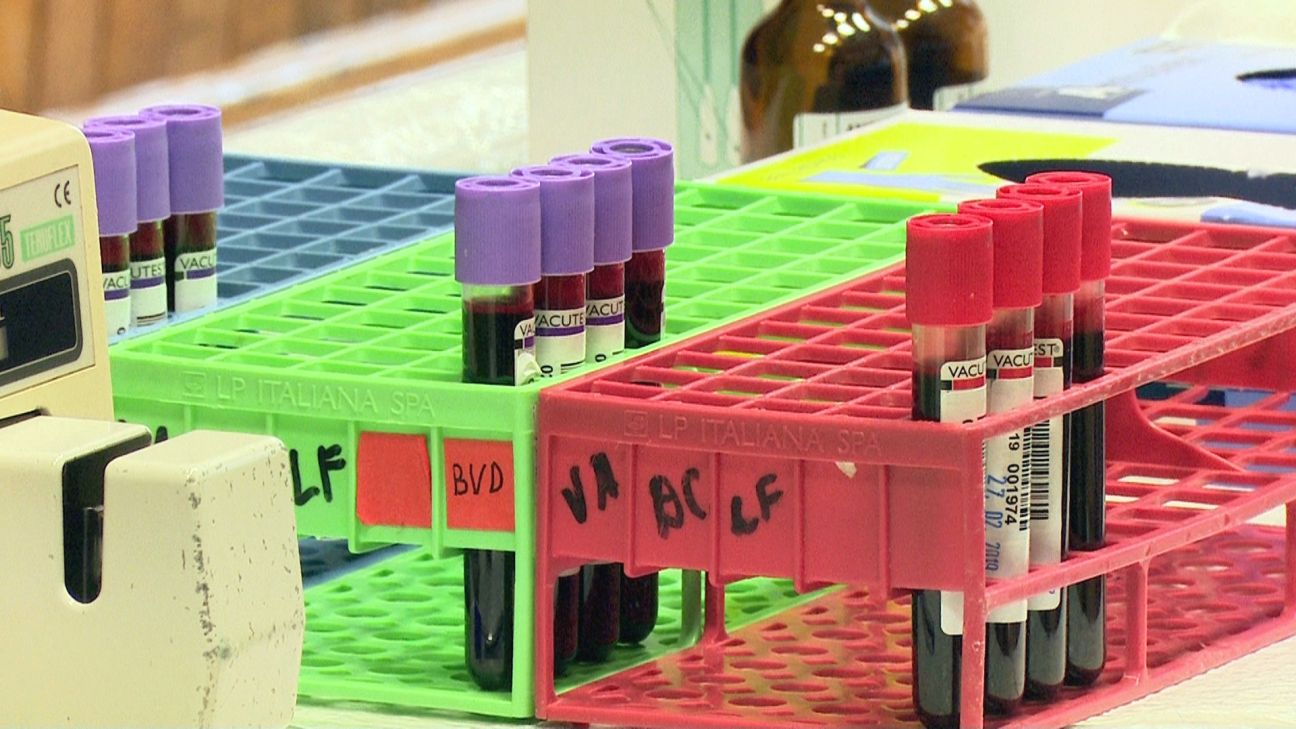 11. un 25. augustā Jēkabpilī – iespēja ziedot asinis