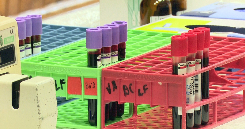 11. un 25. augustā Jēkabpilī &ndash; iespēja ziedot asinis