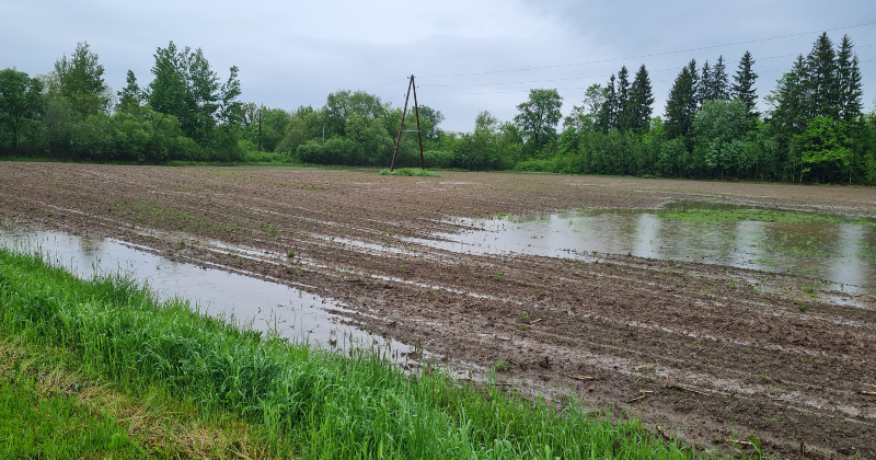 Valdība&nbsp;ārkārtas&nbsp;sēdē izskata jautājumu par ārkārtējās situācijas lauksaimniecībā izsludinā&scaron;anu