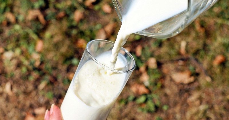 &ldquo;Jēkabpils piena kombināta&rdquo; apgrozījums pērn pieaudzis par nepilniem 15%