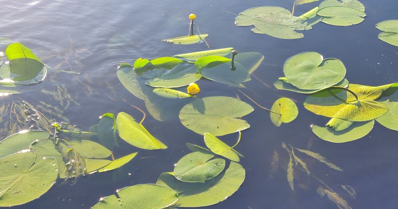 Izstrādāta 24 upju 84 ūdenstūrisma mar&scaron;rutu karte Zemgalei un Ziemeļlietuvai