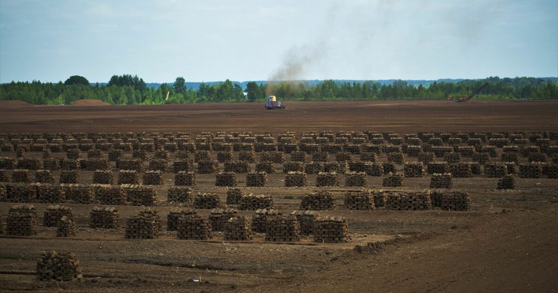 "Līvānu&nbsp;kūdras fabrikas" apgrozījums pērn palielinājies par 32,6%
