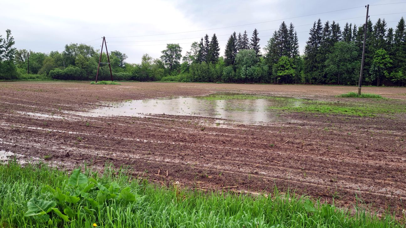 Lauksaimniekiem būs atkāpes nosacījumu izpildē platību maksājumu saņemšanai