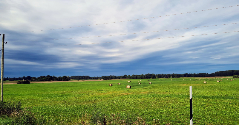 Augusta otrā puse Latvijā gaidāma vēsa