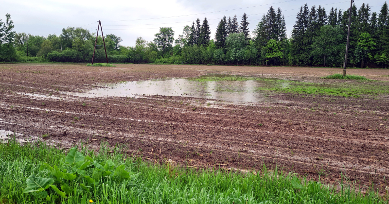 Lauksaimniekiem būs atkāpes nosacījumu izpildē platību maksājumu saņem&scaron;anai