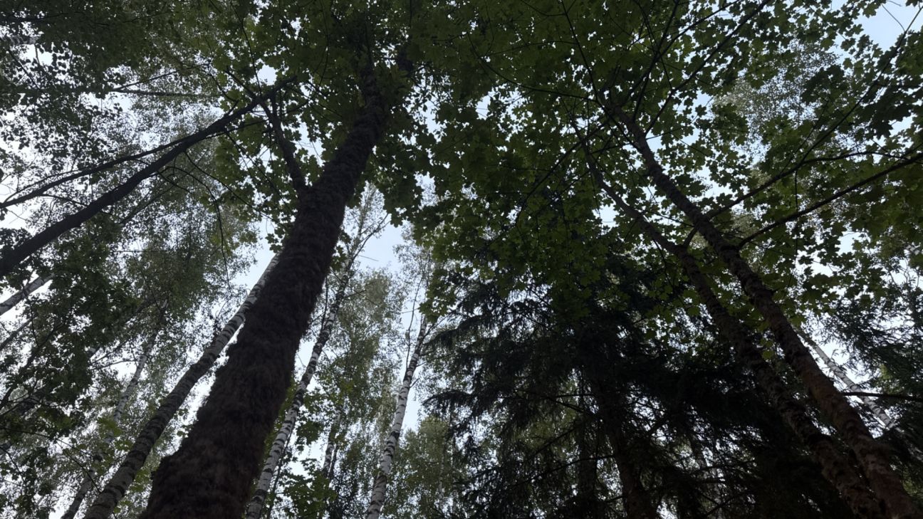 Glābēji atkal dodas palīgā cilvēkam, kurš apmaldījies mežā