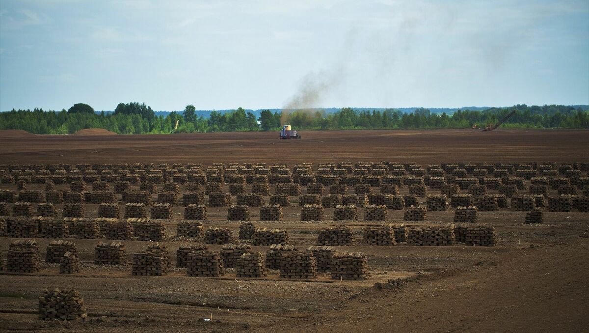 Aicina izsludināt ārkārtējo situāciju arī kūdras ieguves nozarē