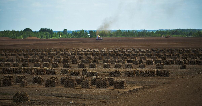 Aicina izsludināt ārkārtējo situāciju arī kūdras ieguves nozarē