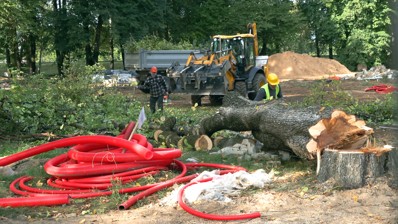 Tauta ziņo: Jēkabpilī, veicot parka pārbūvi, nozāģē daļu koku