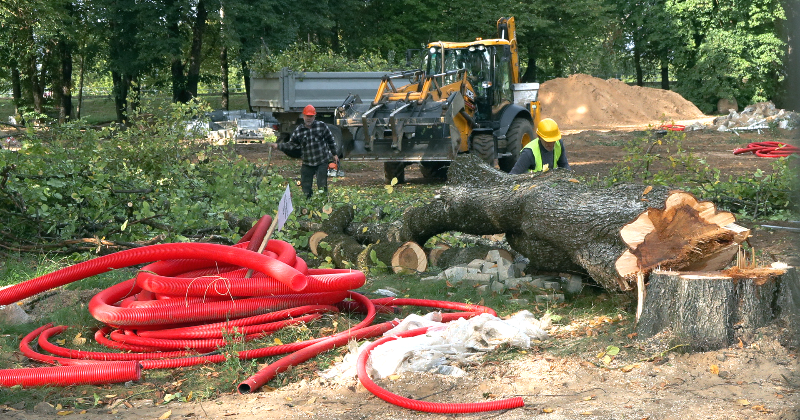 Tauta ziņo: Jēkabpilī, veicot parka pārbūvi, nozāģē daļu koku