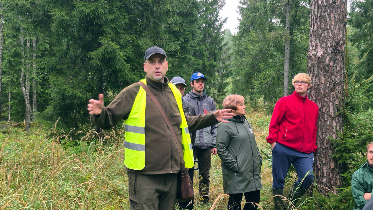 Oglekļa tirgus sekmē gan ekonomiku, gan dabas daudzveidību