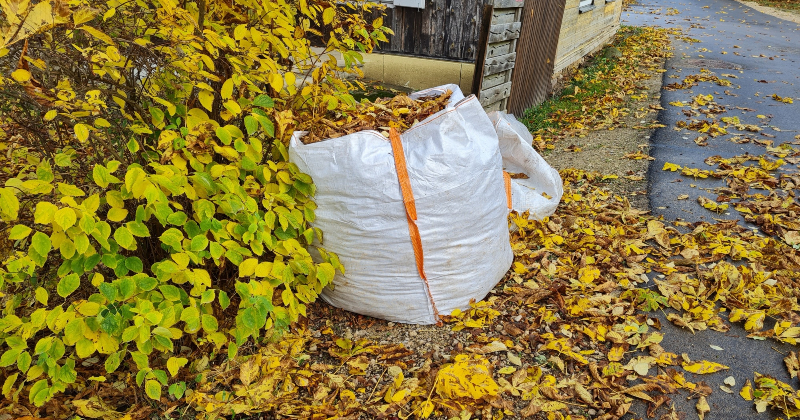 Jēkabpilie&scaron;i var bezmaksas nodot dārzu un parku atkritumus
