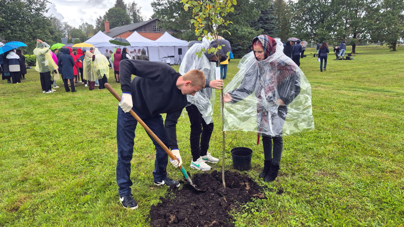 Jēkabpils novada Zīlānos top Laimes koku parks