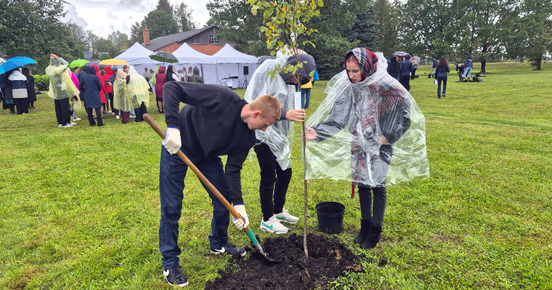 Jēkabpils novada Zīlānos top Laimes koku parks