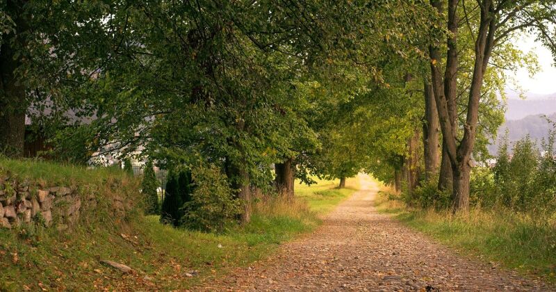 Cik siltas būs naktis un cik vēsas dienas? Laikapstākļu prognoze nedēļai
