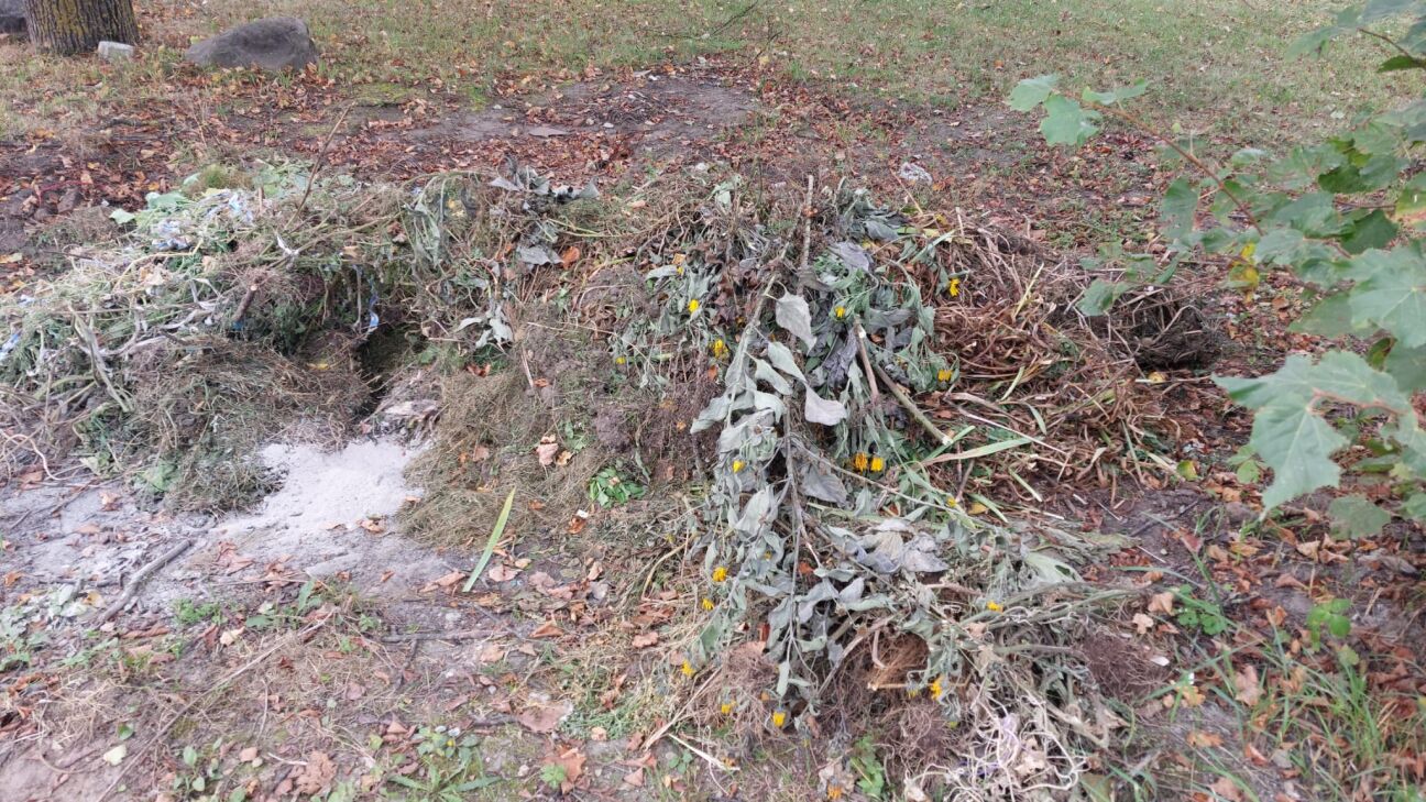 Jēkabpilieši pilsētas centrā izveidojuši komposta kaudzi