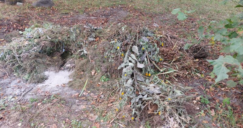 Jēkabpilie&scaron;i pilsētas centrā izveidoju&scaron;i komposta kaudzi