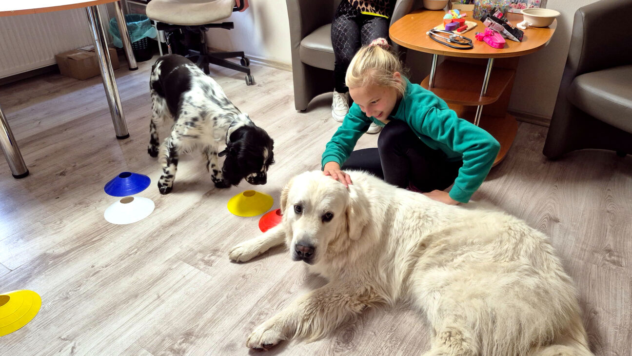 SIA “DOMUS ATBALSTS” uzlabo sociālās rehabilitācijas pieejamību reģionos