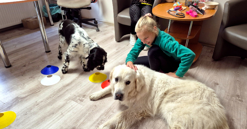 SIA &ldquo;DOMUS ATBALSTS&rdquo; uzlabo sociālās rehabilitācijas pieejamību reģionos