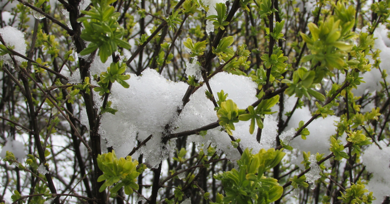 Sinoptiķi prognozē: Latvijā tuvojas pirmais sniegs