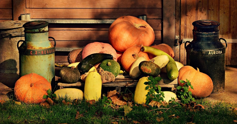 Veselības kompass: kopā ar Lolitu Neimani &ndash; kā saglabāt dabas veltes ziemai