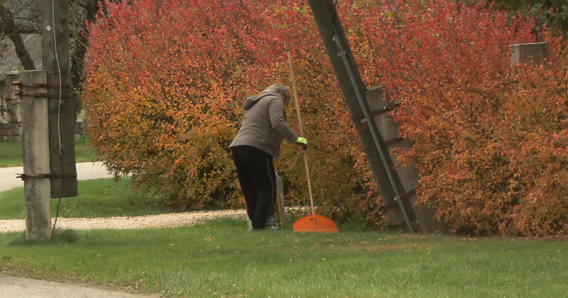 Iedzīvotāji neizpratnē &ndash; kā sagrābt lapas, ja tās vēl kokos?