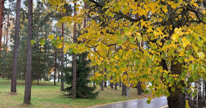 Jēkabpils - viens no sausākajiem reģioniem Latvijā