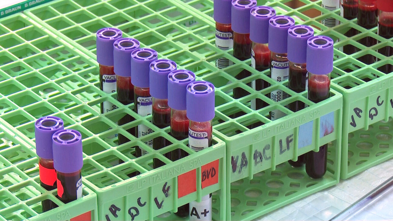 Trūkst asins krājumu – aicināti atsaukties arī donori Jēkabpilī