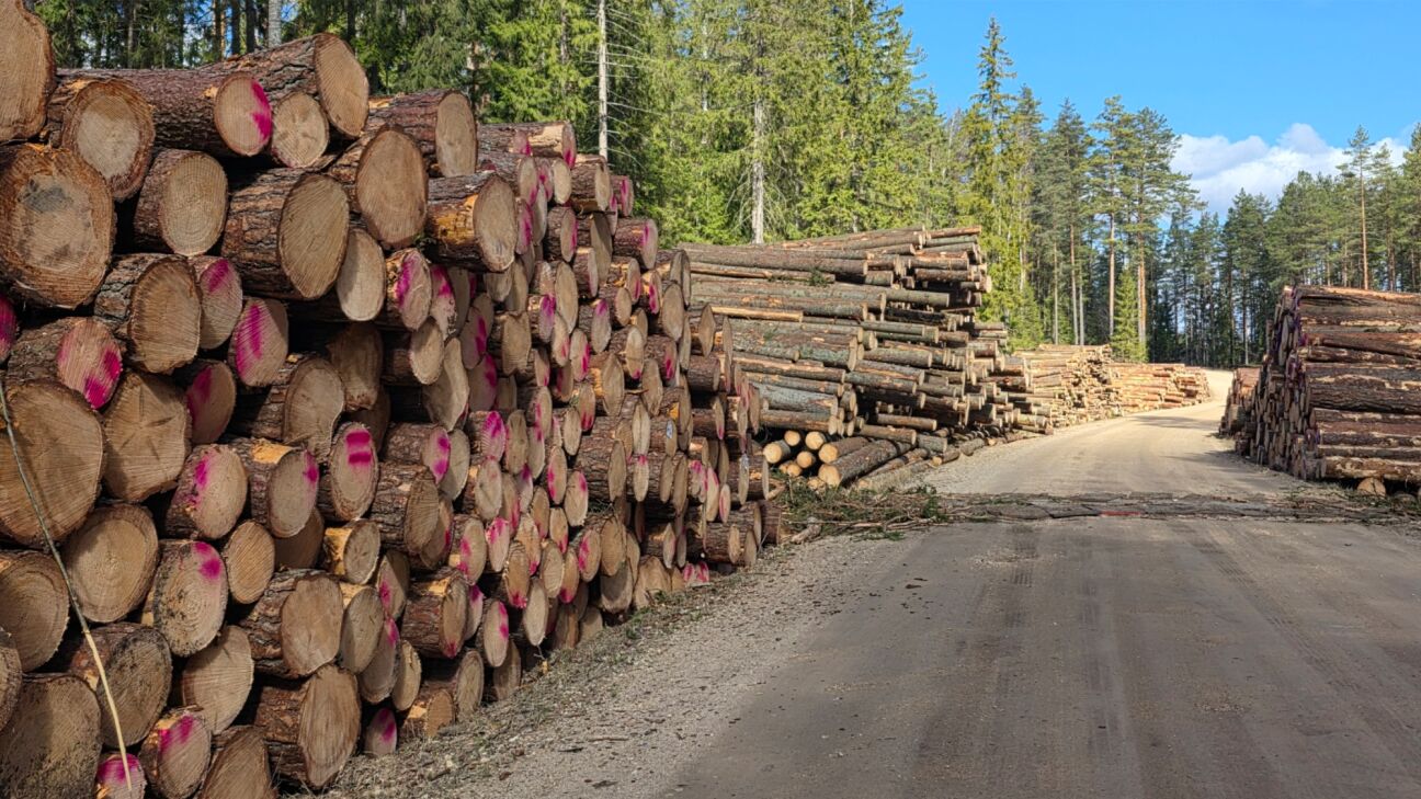 Aizstāvot vietējos uzņēmumus, valdība saņem dūri sejā