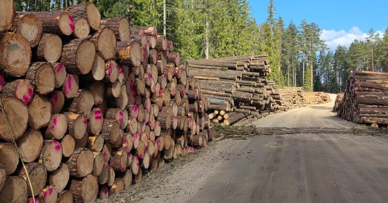 Aizstāvot vietējos uzņēmumus, valdība saņem dūri sejā