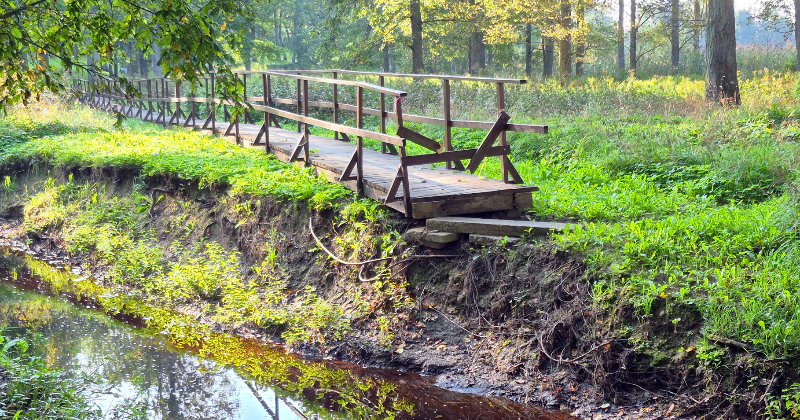 Jēkabpils novadam pie&scaron;ķirti vairāk nekā 20 tūksto&scaron;i eiro lietavu postījumu novēr&scaron;anai
