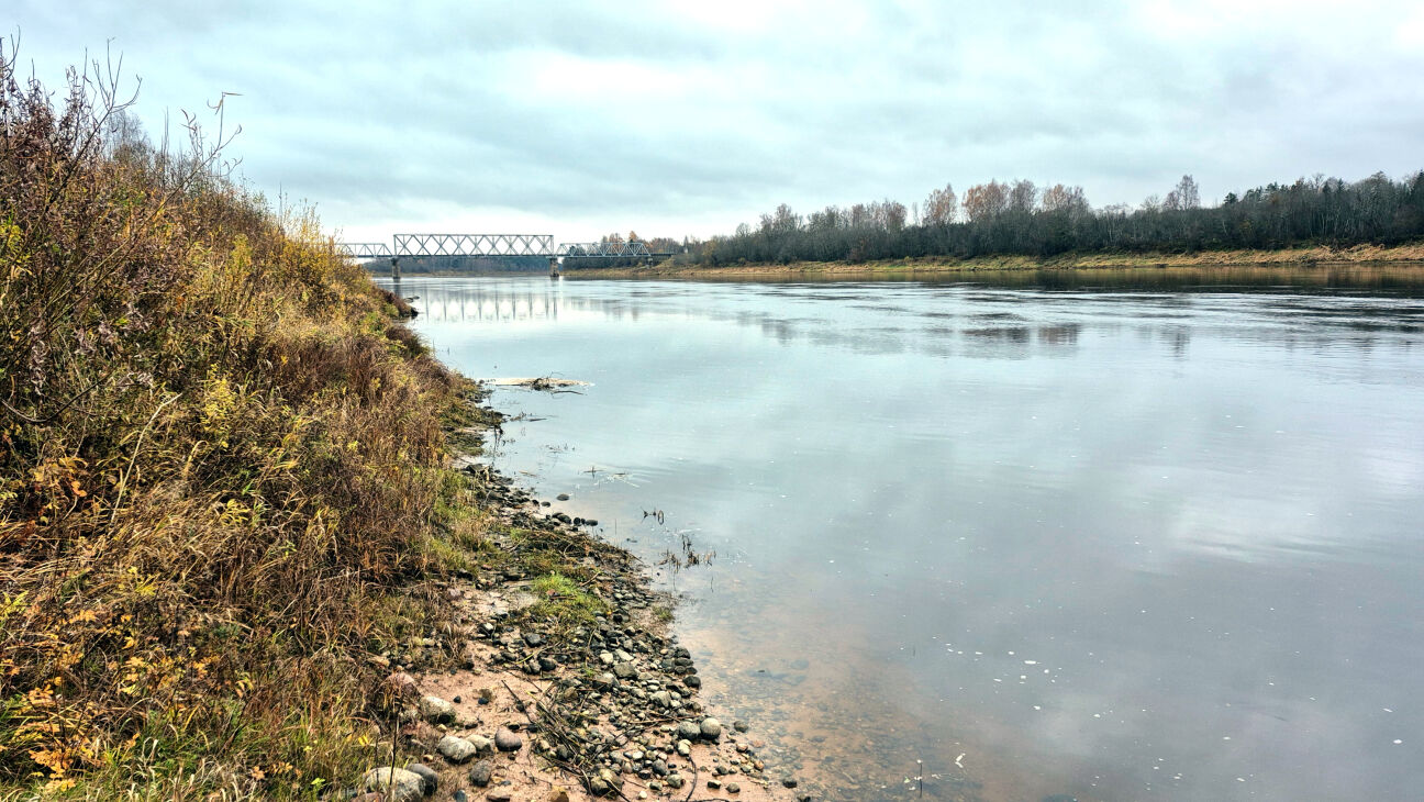Mums jāsaudzē zivju resursi – Jēkabpils novads par zvejas rīku limita samazināšanu Daugavā