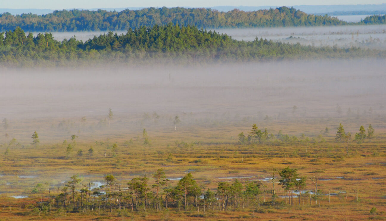 Uzsākta Teiču dabas rezervāta aizsardzības plāna izstrāde
