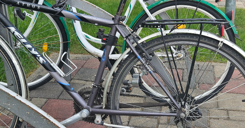 Par godu Valsts svētkiem jēkabpilie&scaron;i dosies 50 kilometru garā velobraucienā