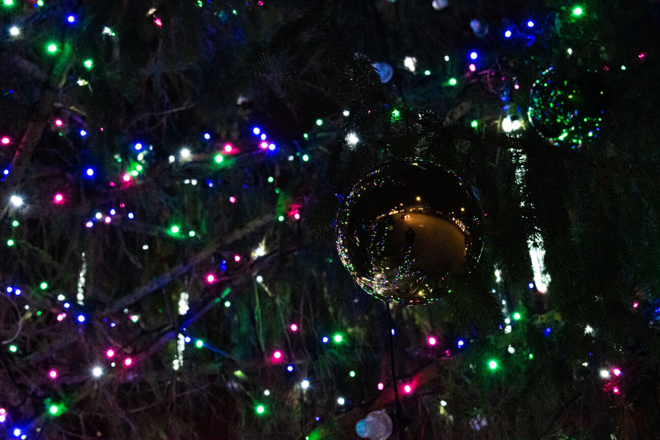 Šonedēļ Jēkabpils novadā iemirdzas svētku egles