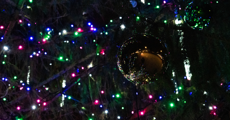 &Scaron;onedēļ Jēkabpils novadā iemirdzas svētku egles