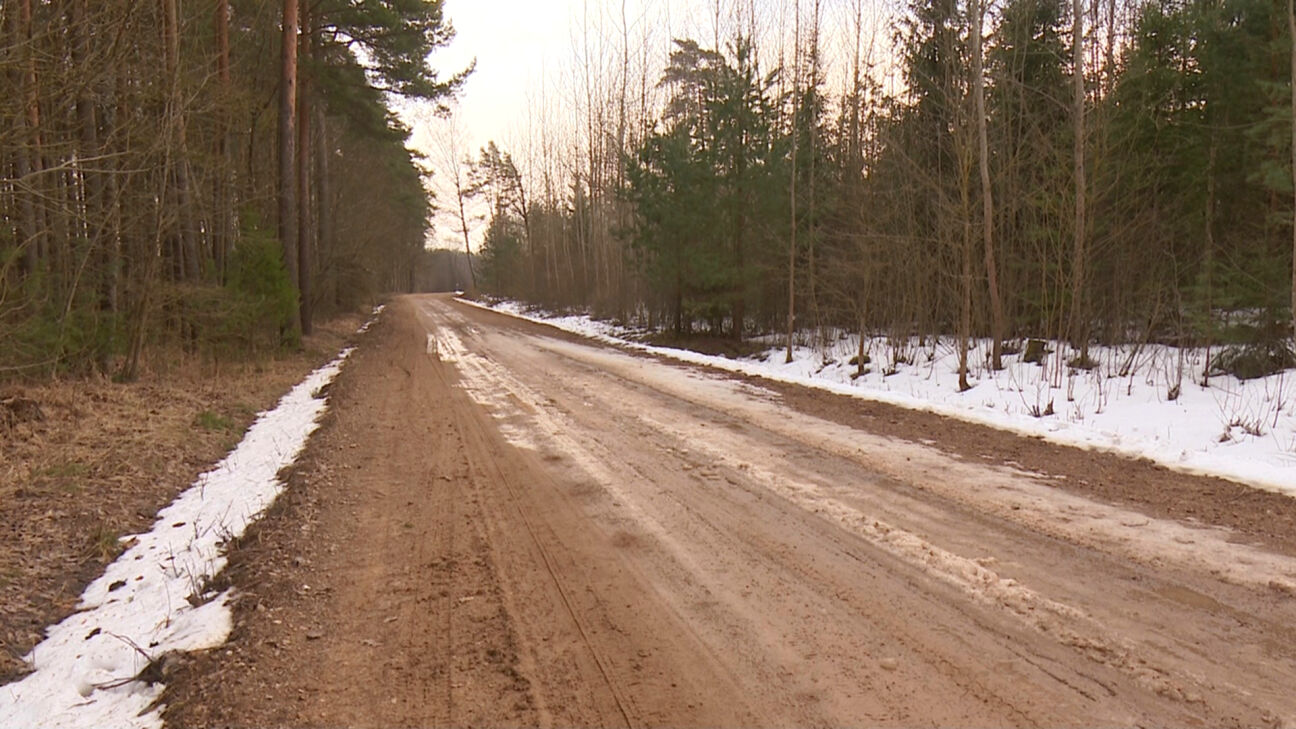 Šonedēļ ziema atkāpsies – gaiss var iesilt līdz plus astoņiem grādiem