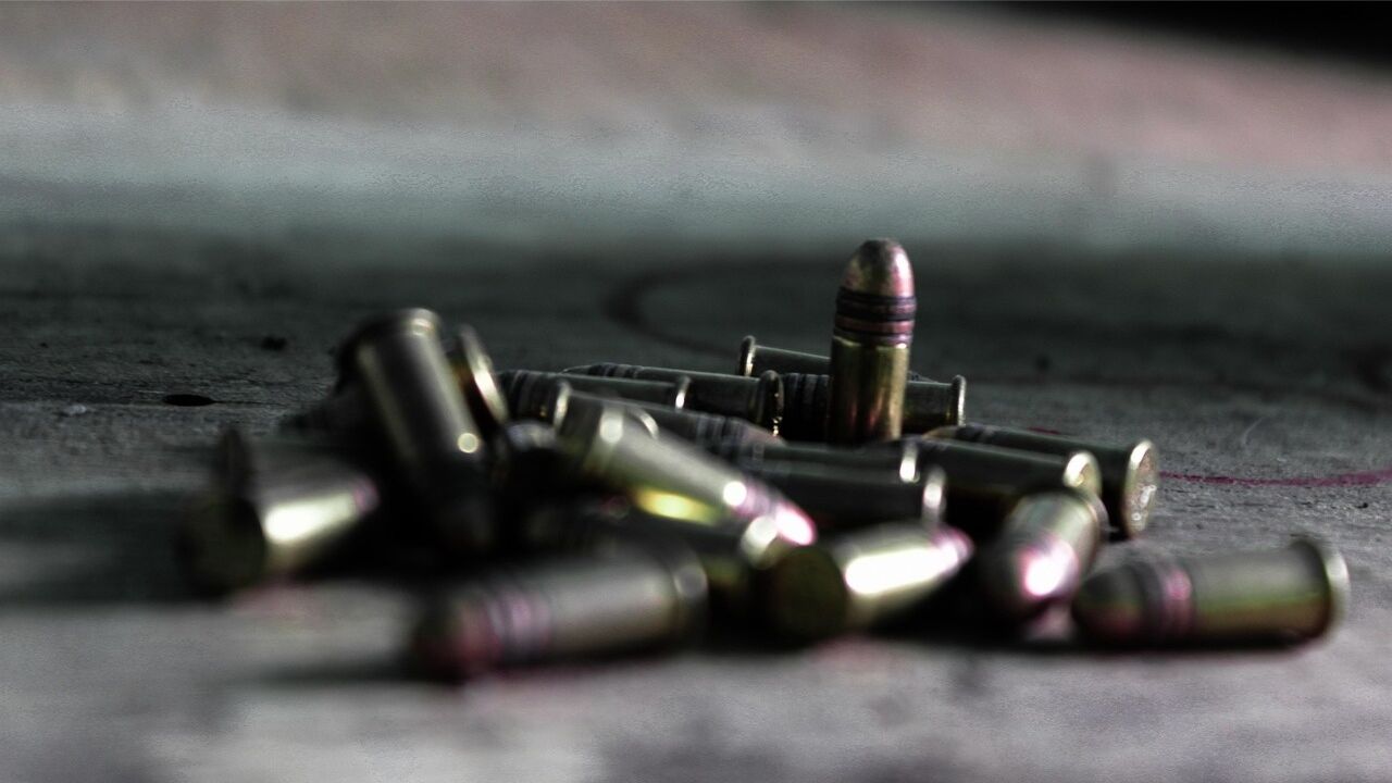 Elkšņu pagastā plāno izveidot šautuvi