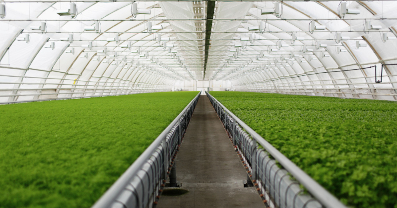 Kā tiek projektēti un būvēti moderni tērauda angāri?