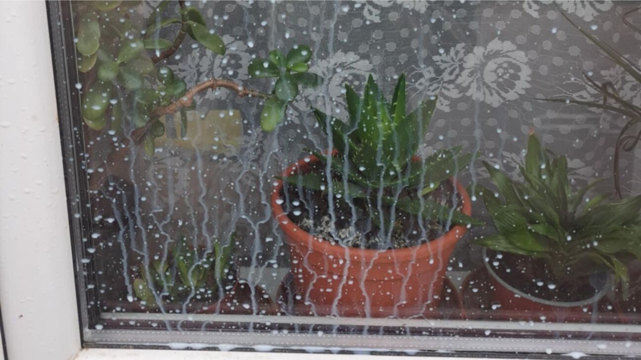 Jēkabpils iedzīvotāji satraukti par bērnu rotaļām ar piena pakām