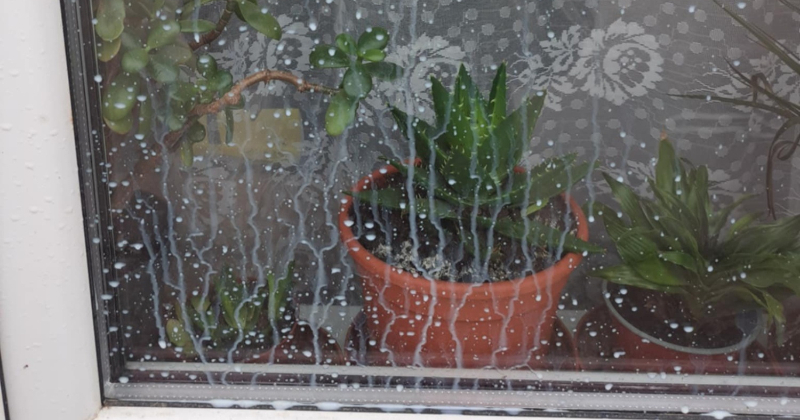 Jēkabpils iedzīvotāji satraukti par bērnu rotaļām ar piena pakām