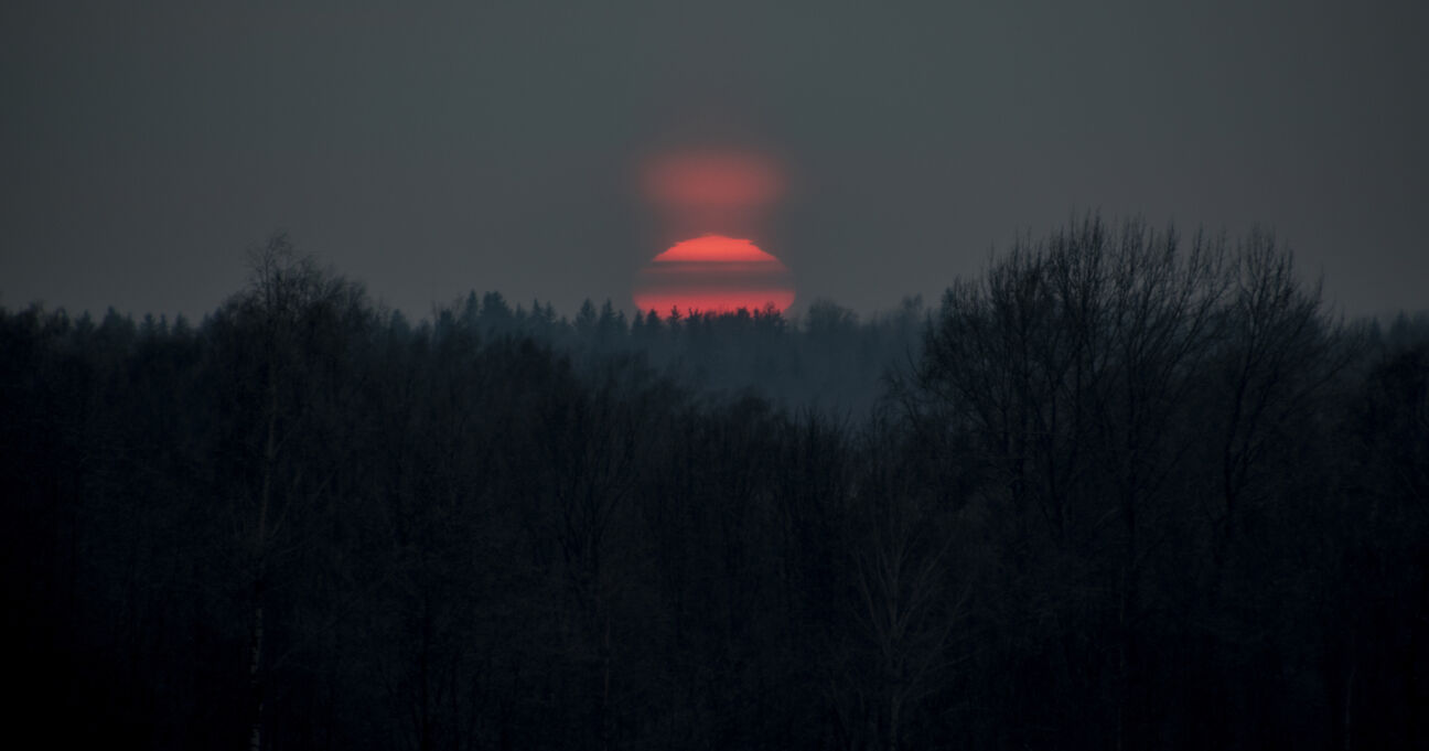 Sinoptiķi šaubās vai šogad gaidāmi balti Ziemassvētki