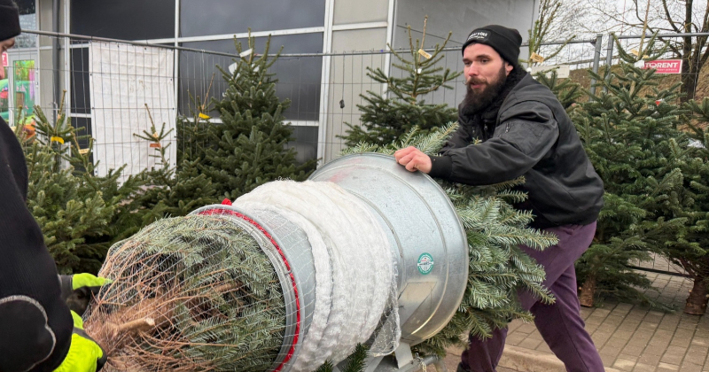 Ziemassvētku eglī&scaron;u cenas reģionos svārstās no 25 līdz 80 eiro