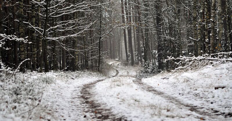 Ziemas sezonā Jēkabpils novadā nodro&scaron;ina atbalstu piebraucamo ceļu tīrī&scaron;anā
